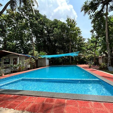 King Villa Goa Palolem Esterno foto